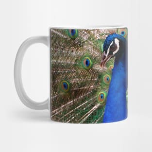 Peacock on Display Mug